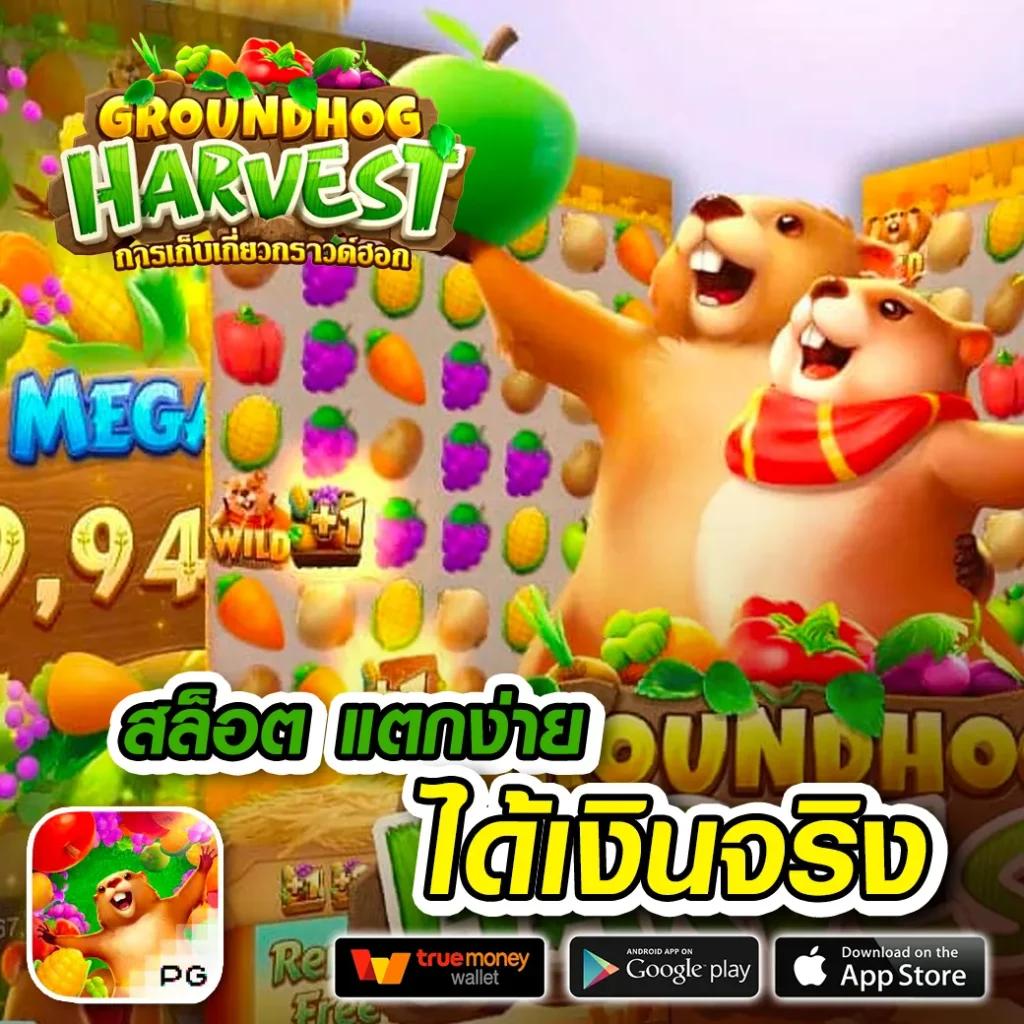windragon 168 แพลตฟอร์มสล็อต อันดับ 1 มาแรงที่สุดในไทย